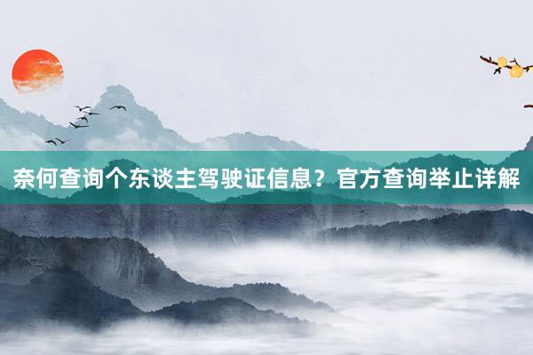 奈何查询个东谈主驾驶证信息？官方查询举止详解